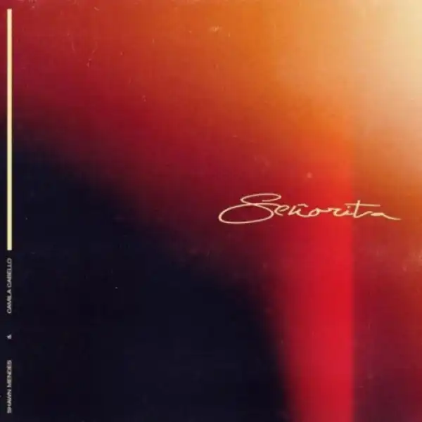 Shawn Mendes X Camila Cabello - Senorita